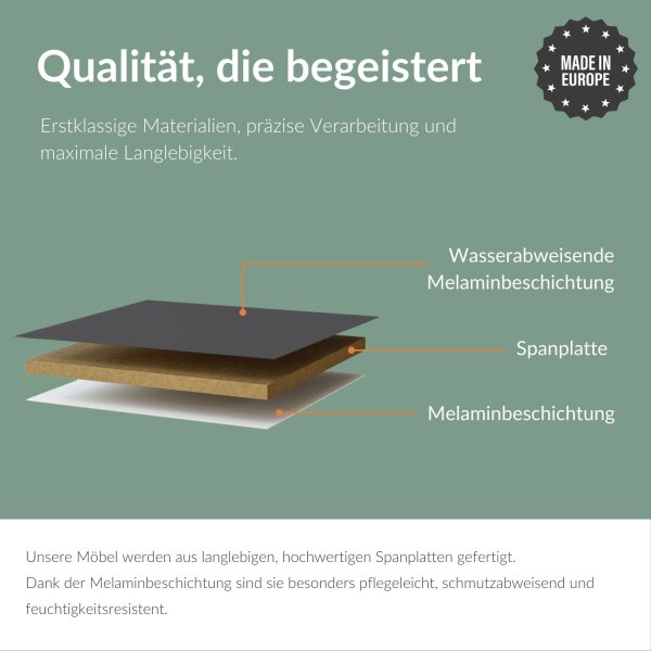 TV Board WEST Gold Eiche / Schwarz Charcoal 100 cm