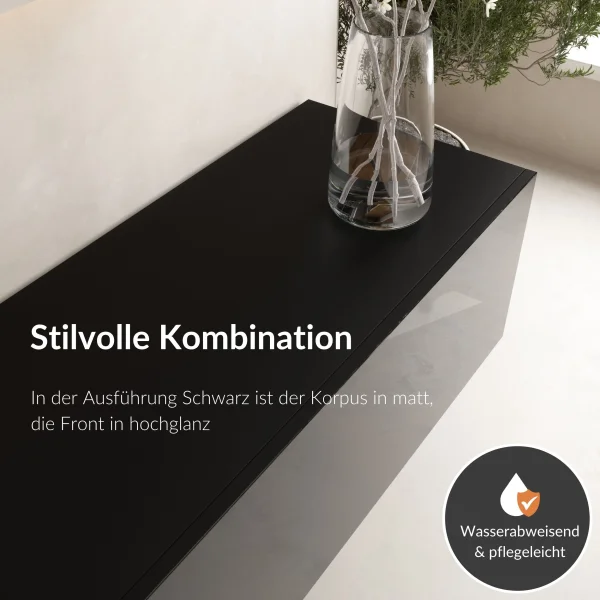 Meuble dentrée, penderie murale double, 140 cm, noir