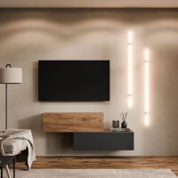 TV lowboard 2x 100 cm gold oak / anthracite - gold oak
