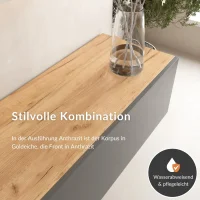 Ensemble de panneaux WEST TV 2 x 100 cm en chêne...