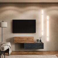 TV Lowboard 2x 100 cm Gold Eiche / Schwarz Charcoal -...