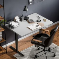 Height-adjustable desk, 120 x 80 x 3.2 cm, white and gray