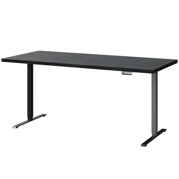 Höhenverstellbarer Schreibtisch 160 x 80 x 3,6 cm schwarz charcoal