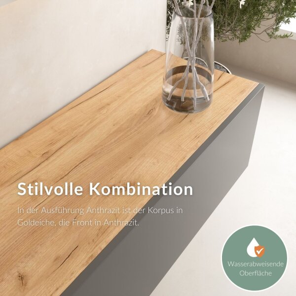 TV living wall (4-piece) consisting of 2x TV boards and 2x side cabinets, 280 cm gold oak / anthracite