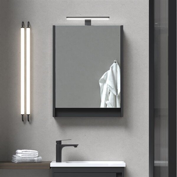 Mirror cabinet with LED lighting matte black 50 cm