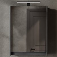 Mirror cabinet with LED lighting matte gray 50 cm